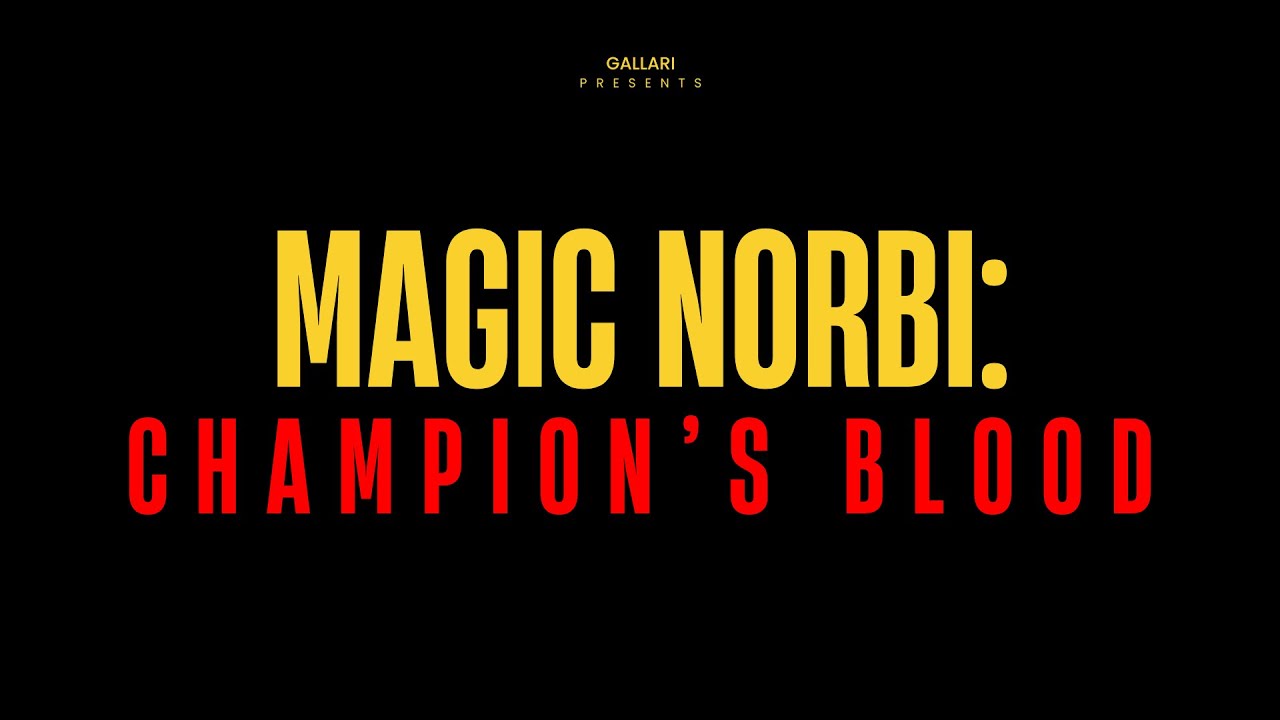 MagicNorbi: Champion's Blood | An MMA Documentary | Magyar FELIRATTAL