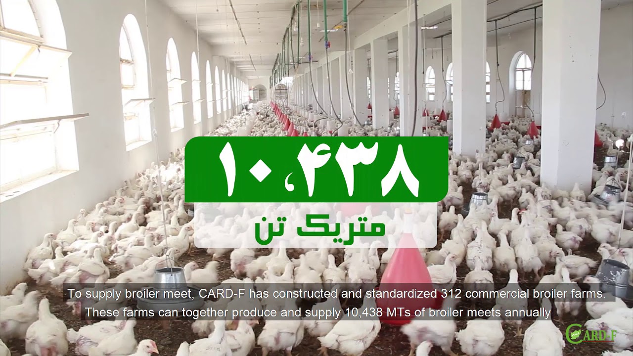 Poultry Value Chain Development in Afghanistan