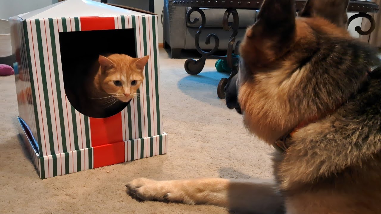 Present, and accounted for