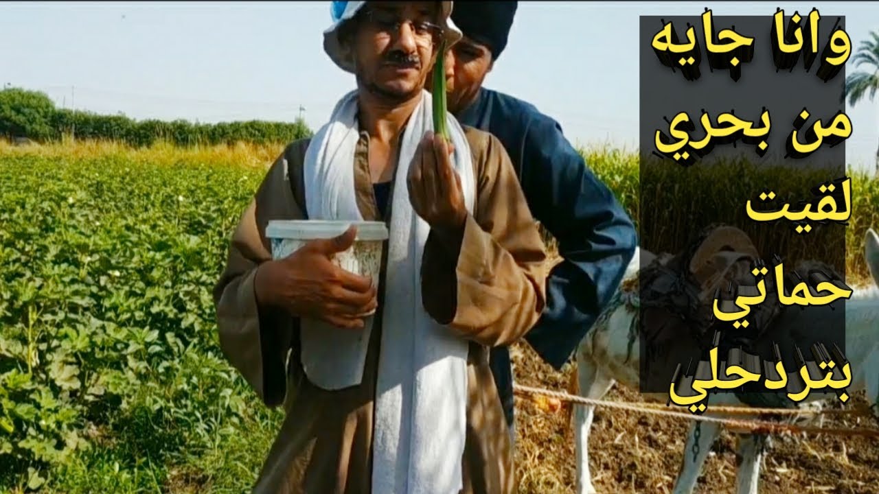 بعد ما فرحه خلص مش بيروح لحد!!!عم شوقي المصلحنجي والحلبي دمه محروق:ضحك موووووت
