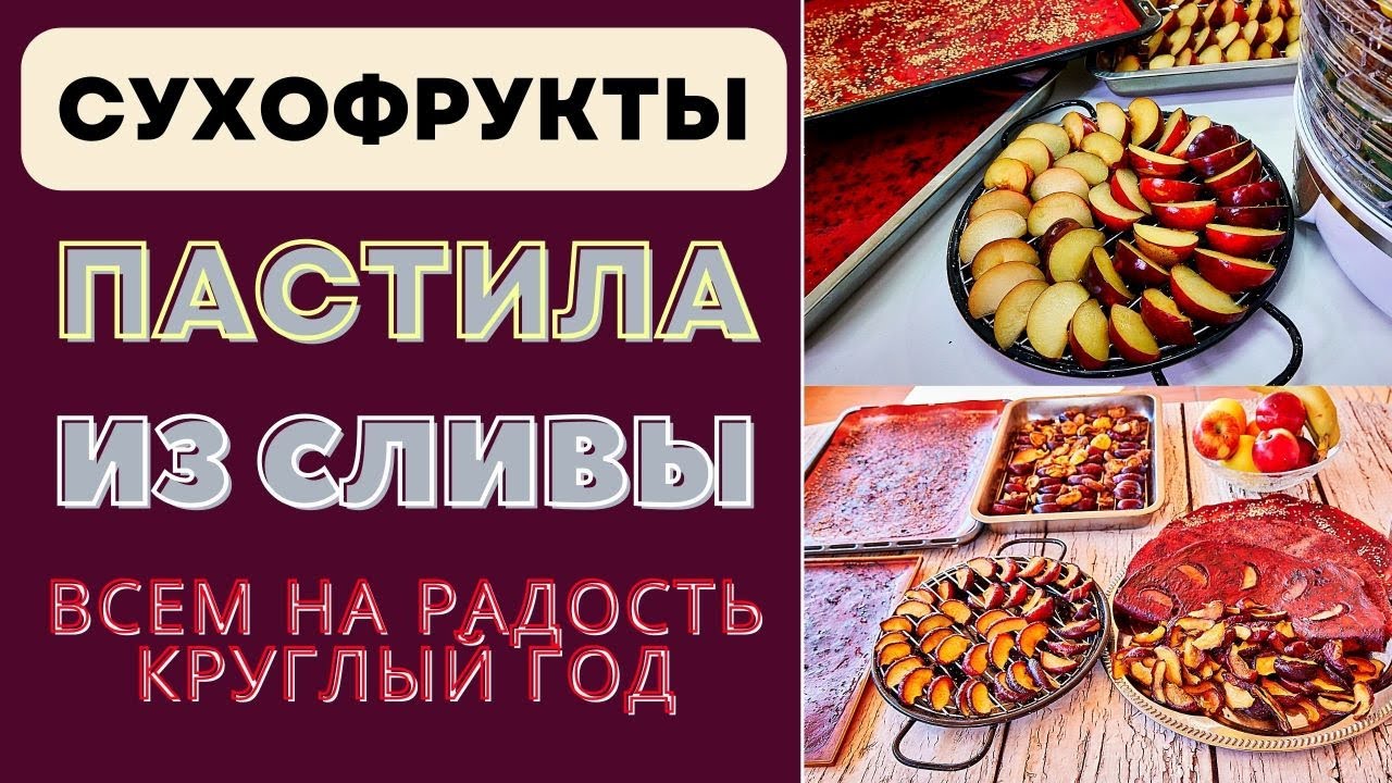 СУХОФРУКТЫ И ПАСТИЛА ИЗ СЛИВЫ - ВСЕМ НА РАДОСТЬ КРУГЛЫЙ ГОД! СУШУ В ДЕГИДРАТОРЕ И НА СОЛНЦЕ ტყლაპი