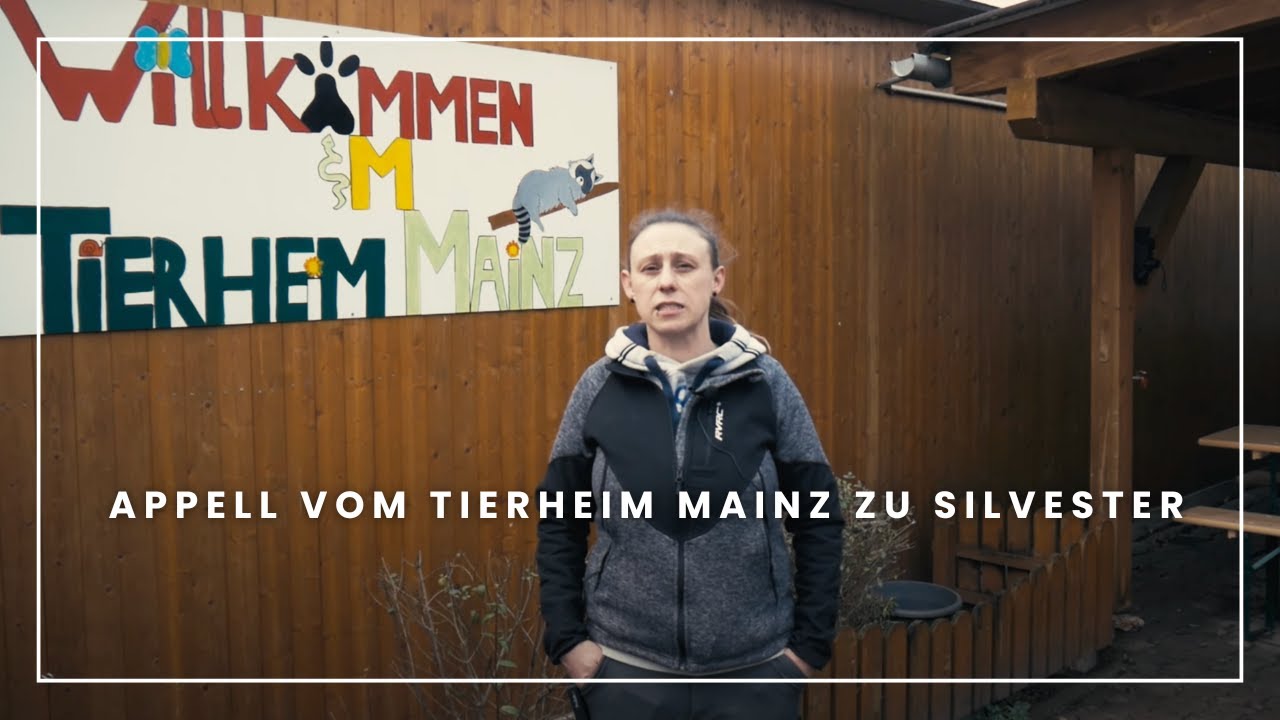 Appell vom Tierheim Mainz zu Silvester