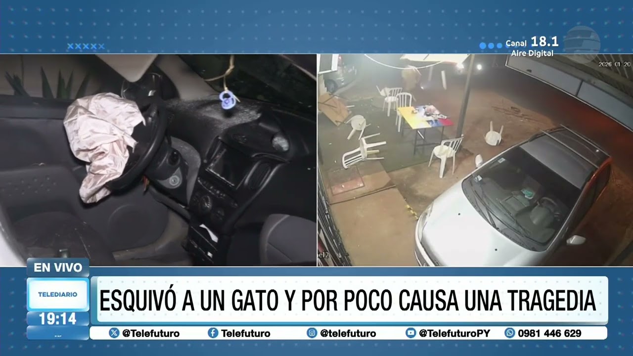 Esquivó un gato y por poco causa una tragedia