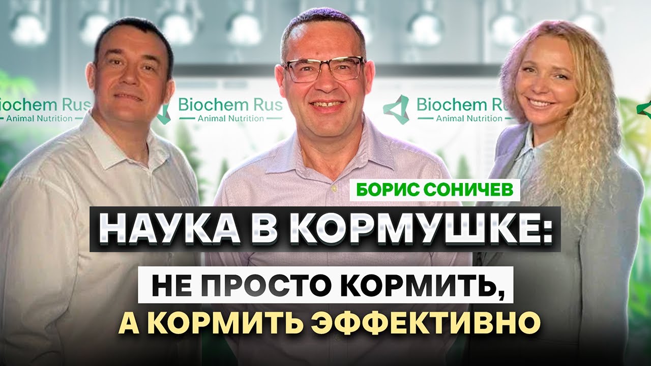 Как повысить продуктивность в животноводстве и снизить затраты на кормление