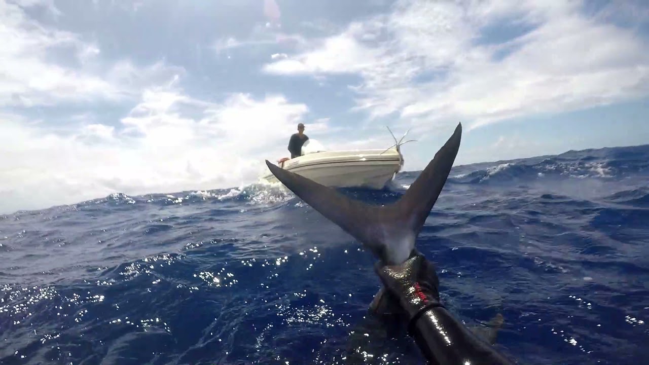 PESCASUB NO AZUL (PAREDES)