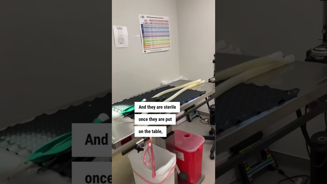 #Humblebrag: Take a look at the CAP Cornelius Clinic!