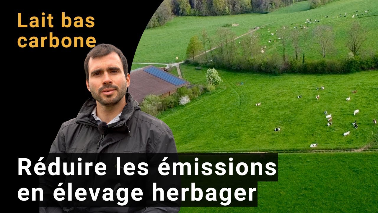 Mesures d'adaptation et d'atténuation des effets du climat dans l'élevage laitier basé sur pâturage