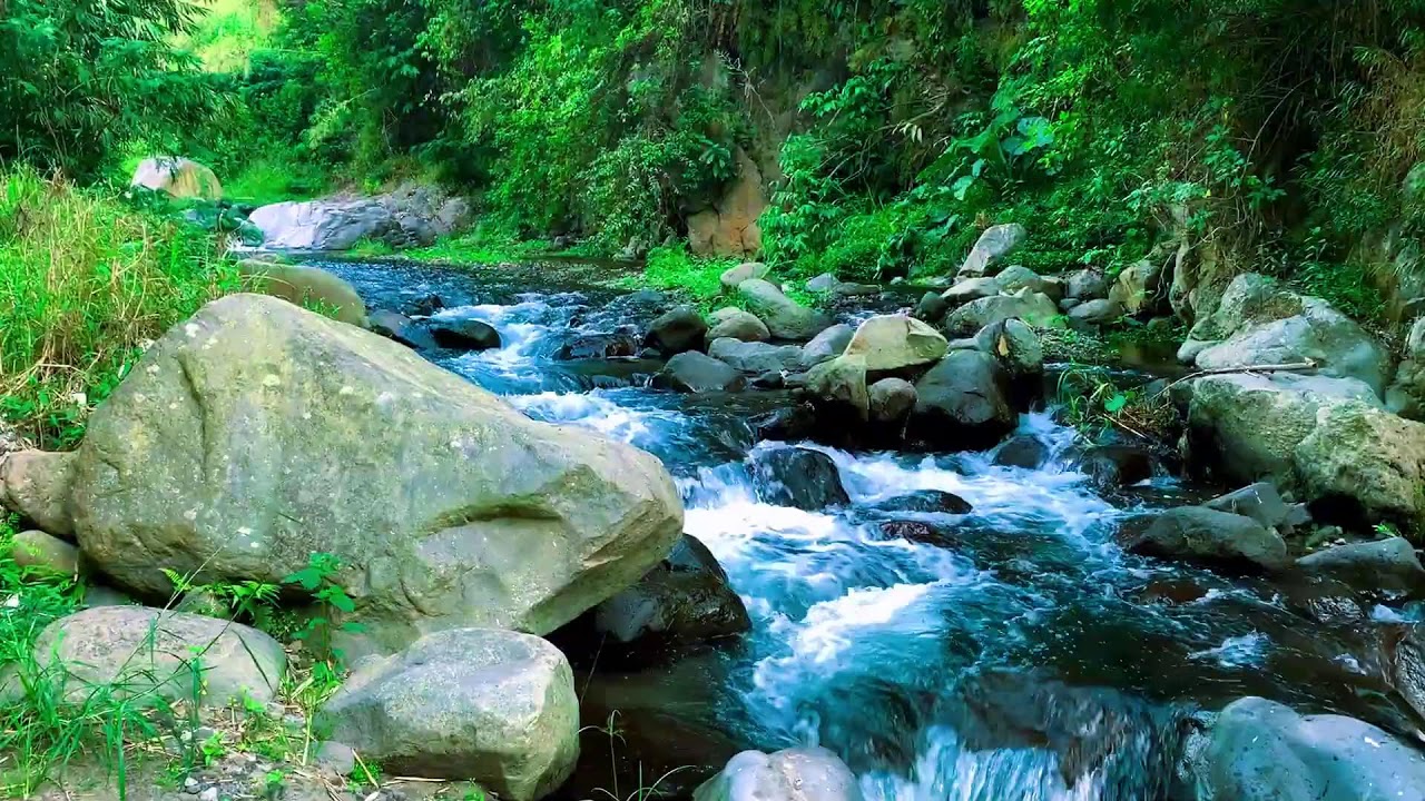 Calm River Sound with Beautiful White Noise for Mental Healing, Yoga & Cognitive Performance