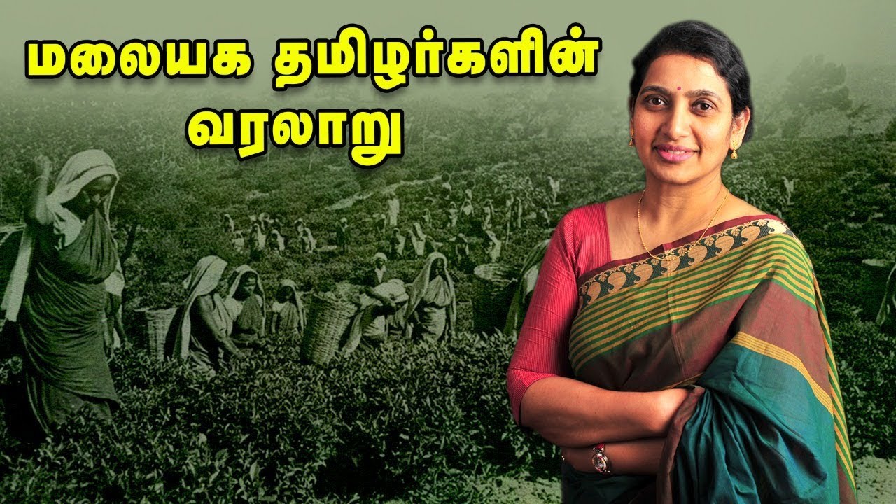 தேயிலை தோட்டத்தில் தமிழர்கள்...உண்மை வரலாறு!
