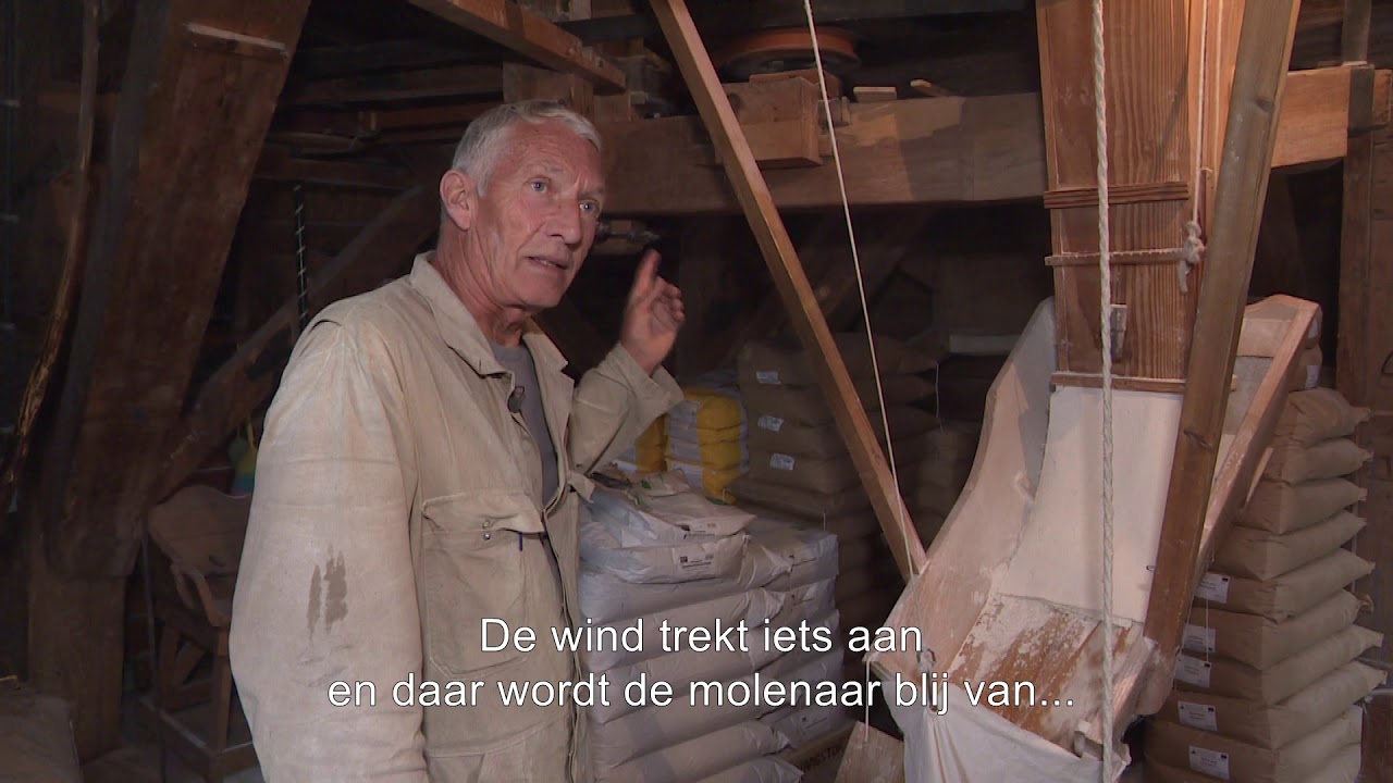 Jouw NH: Korenmolen de Zandhaas in Santpoort-Noord