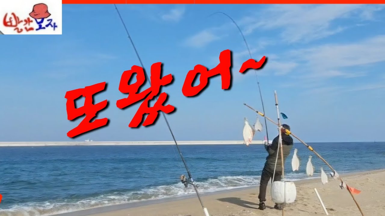 빨간모자 라이브 스트리밍 중