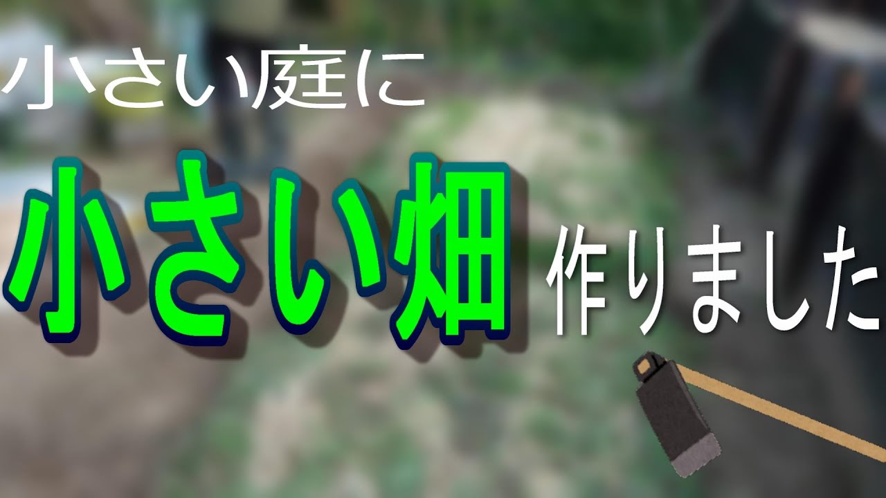 小さい庭に小さい畑作りました