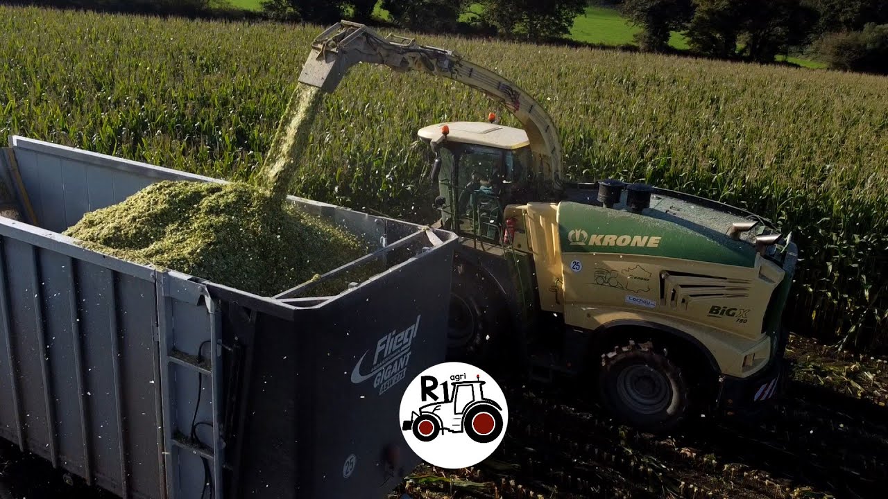 NOUVELLE KRONE BIG X 780 DE L'ETA D'HERVE ENSILAGE MAÏS 2024 EN BRETAGNE! SILAGE IN BRITTANY!
