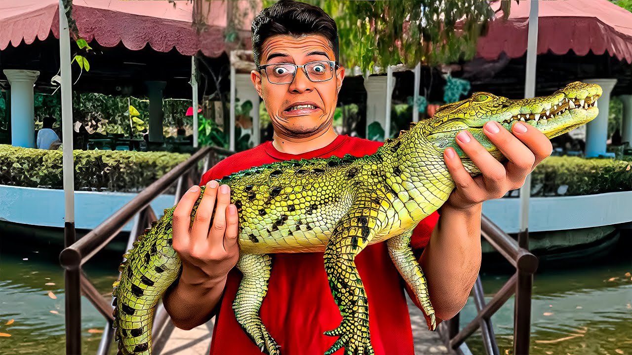 El restaurante más EXTRAÑO del mundo: ¡Crían peces y hay un cocodrilo suelto!