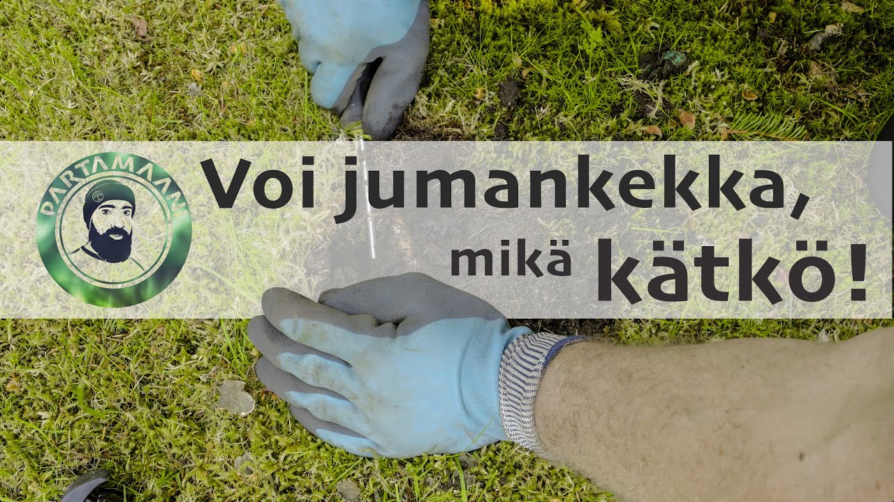 Aarteiden etsintää 1900-luvulla rakennetun talon ympäristössä #aarrejahti #metallinetsintä