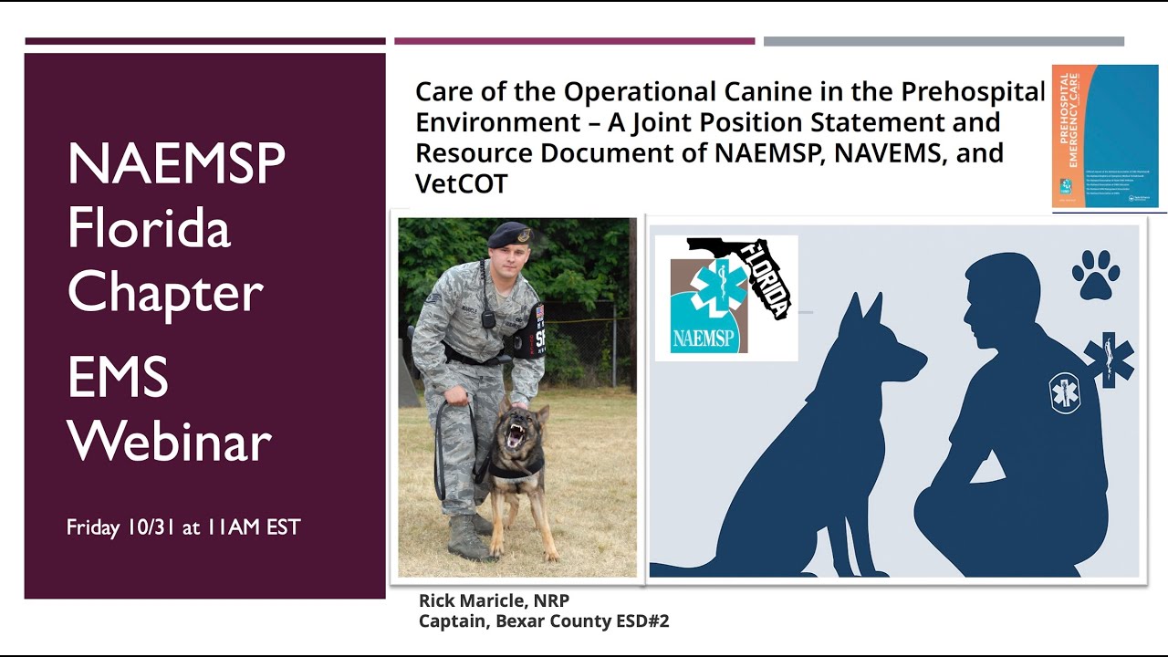 Zimmerman, Palmer, & Maricle: Operational K9 Care by EMS (10/31/25)
