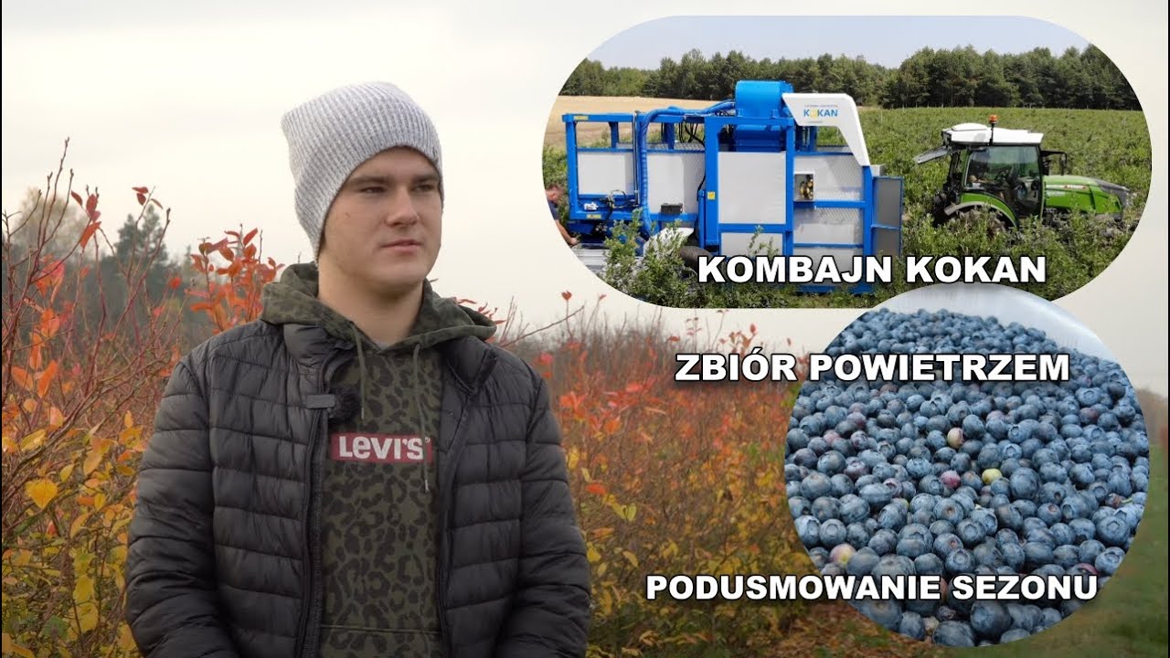 Zbiór mechaniczny borówki za pomocą powietrza w gospodarstwie Państwa Kalinowskich - podsumowanie