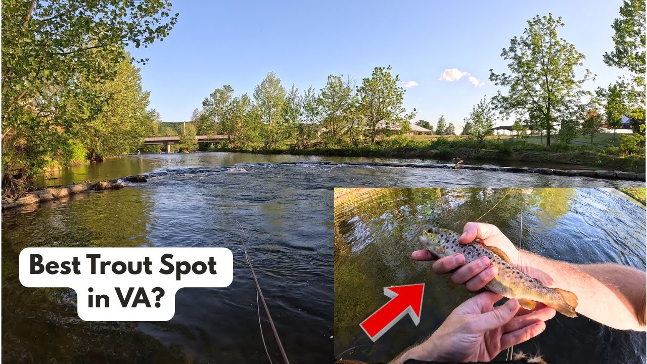Fly Fishing the South River (Waynesboro, VA) | Trout on Nymphs