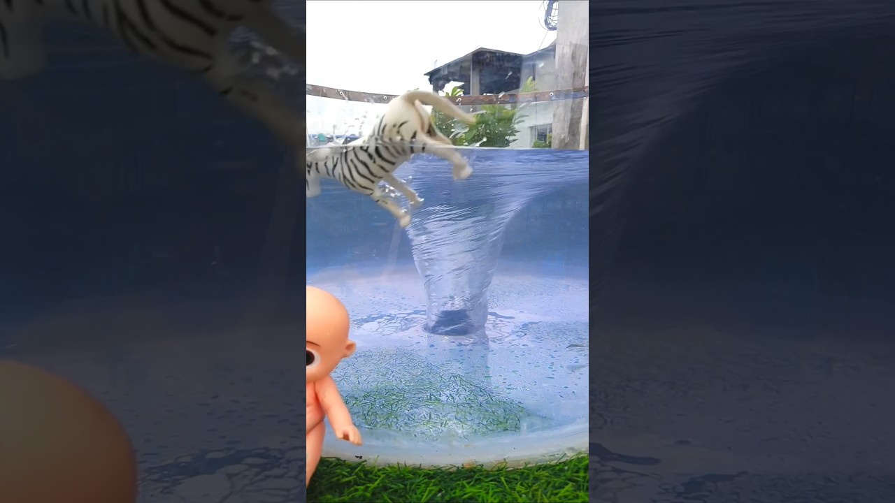 aquarium Vortex 🌪️ 🌪️ Vs lots of things 🦓🦓. whirlpool. vortex.
