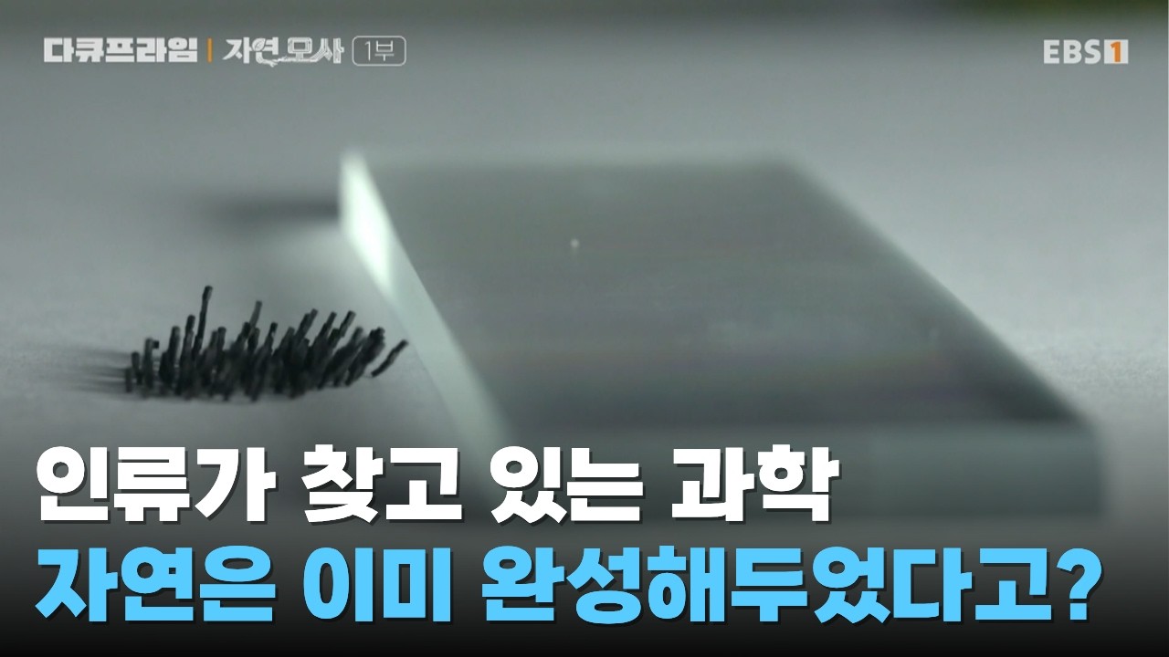 최첨단 기술의 진짜 원조는 &lsquo;자연&rsquo;ㅣ인류가 찾던 기술을 자연은 이미 만들었다ㅣ#다큐프라임