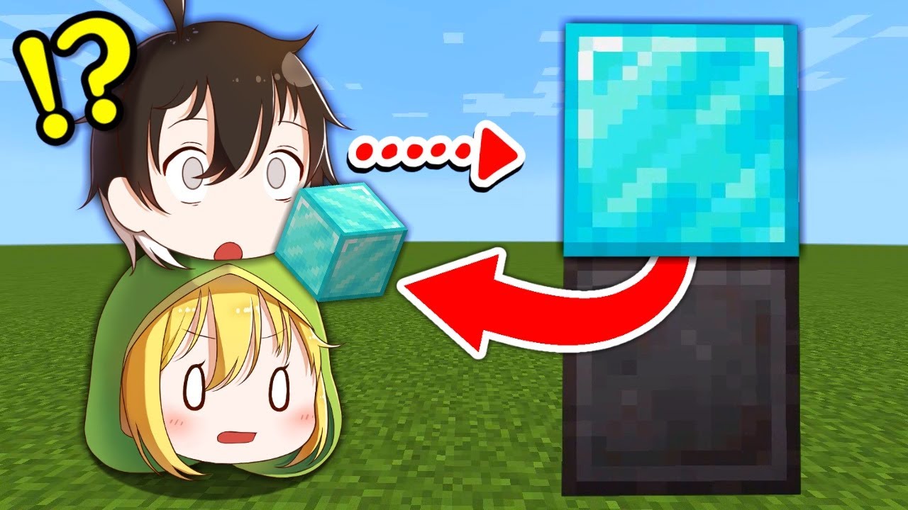 見るだけでブロックが無限に手に入る世界でエンドラ討伐した結果…！？【マインクラフト】