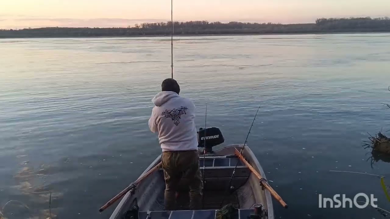 Pescuit la Dunăre!!! Ziua 3 din 8 coafiura rezistă...