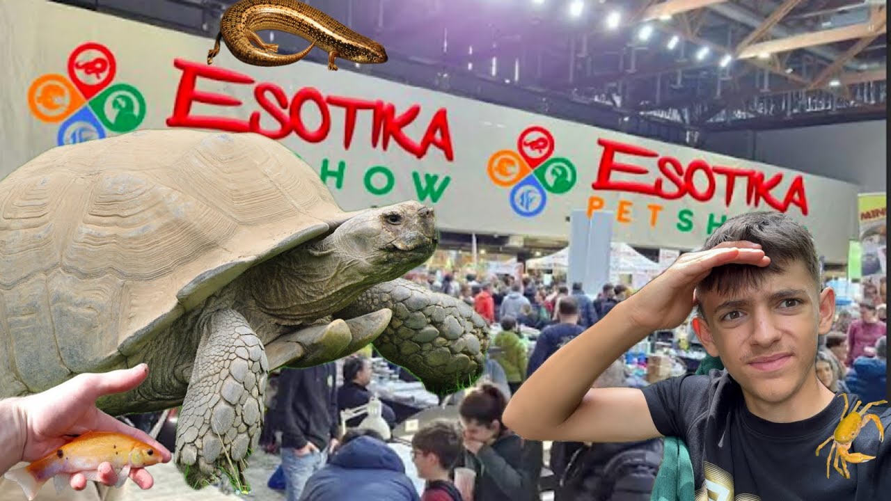 Compro la terza TARTARUGA più GRANDE al MONDO??!! Vado ad Esotika PetShow Arezzo e compro 6 animali