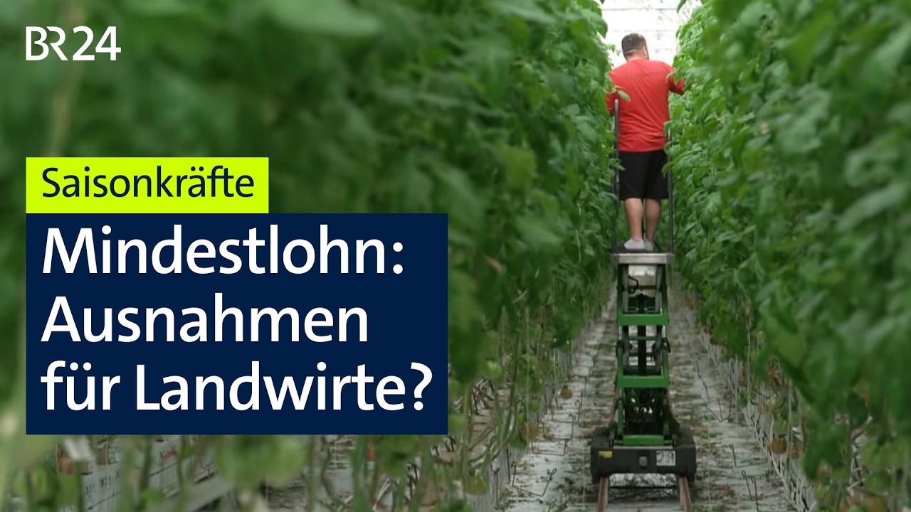 Bauernverband fordert Mindestlohn-Sonderregel f&uuml;r Saisonkr&auml;fte | BR24