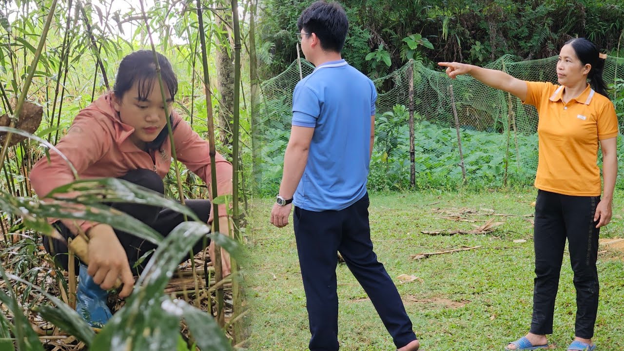 Single Mother Harvests Bamboo Shoots While the Engineer Faces Family Rejection