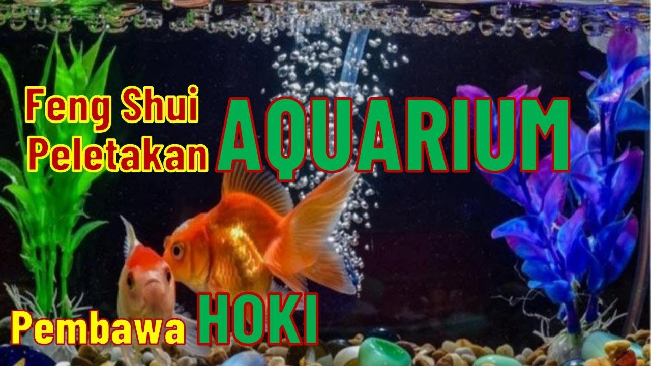 Feng Shui - Peletakkan Akuarium di dalam Rumah Pembawa Hoki