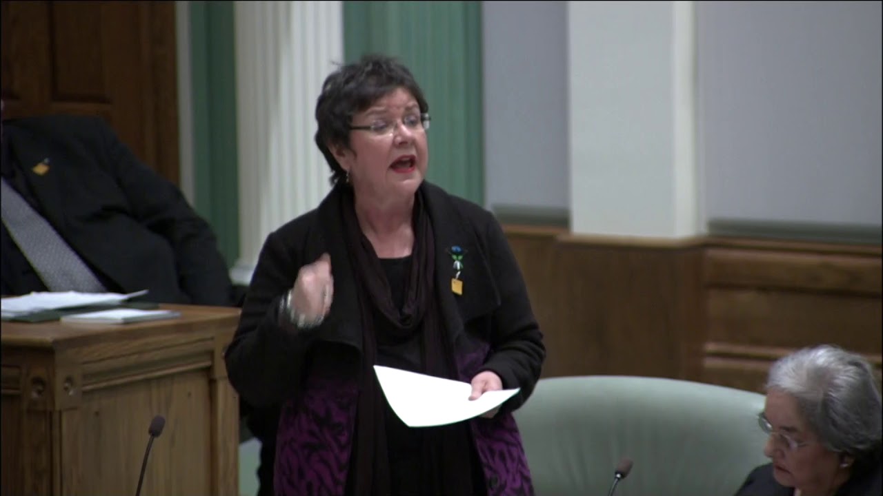 MHA Gerry Rogers speaks about cost of Bus Passes in House of Assembly