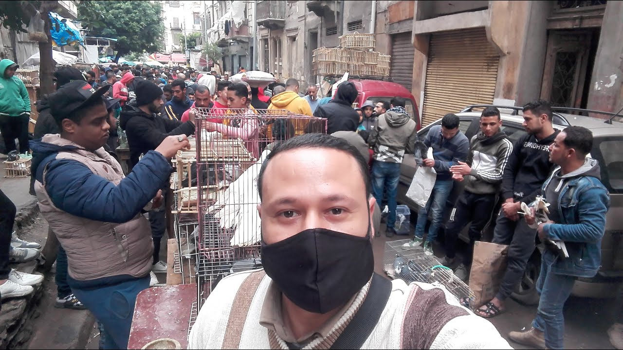 #اغرب_فرد_حمام_ممكن_تشوفه من داخل سوق باب عمر باشا في محافظة الاسكندرية