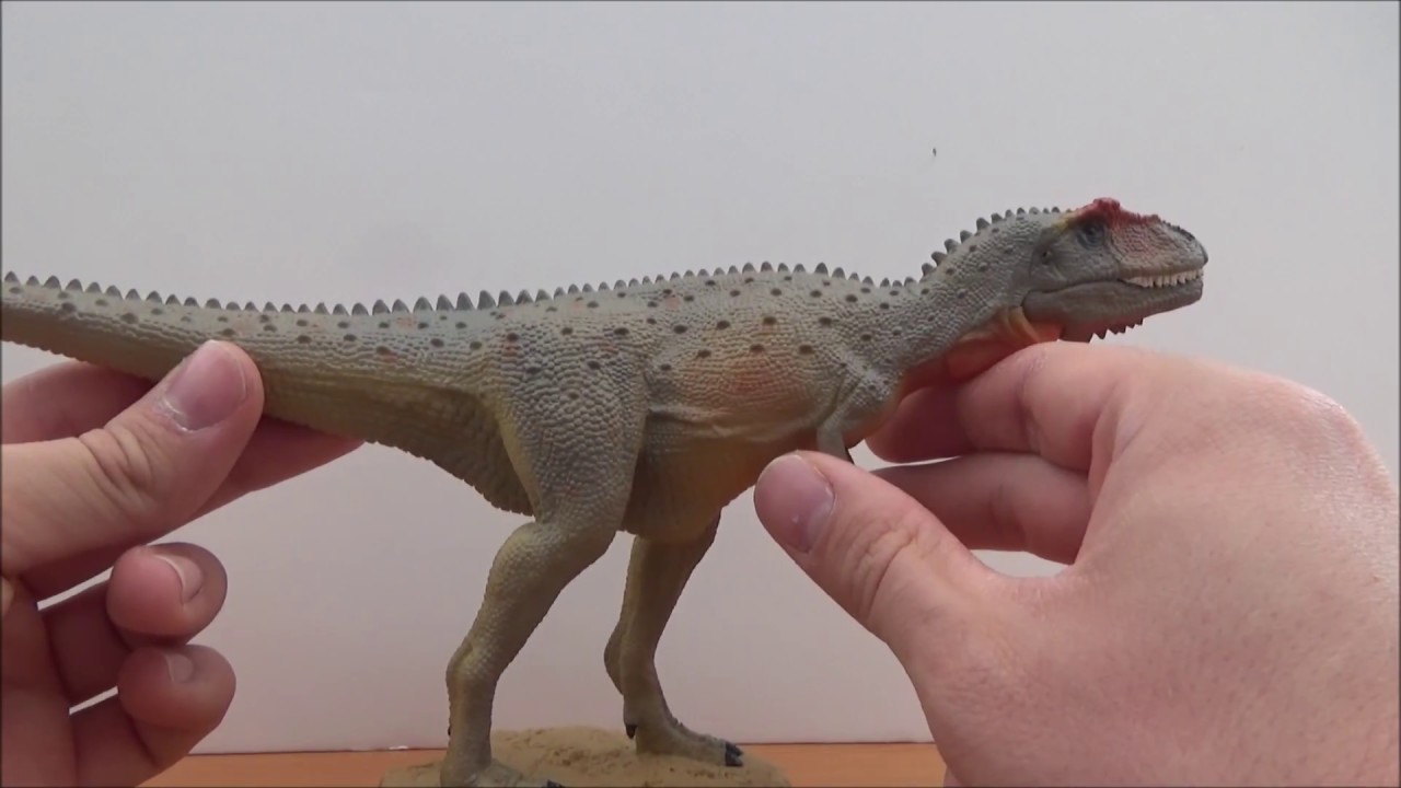 CollectA 1:40 Scale Mapusaurus Review