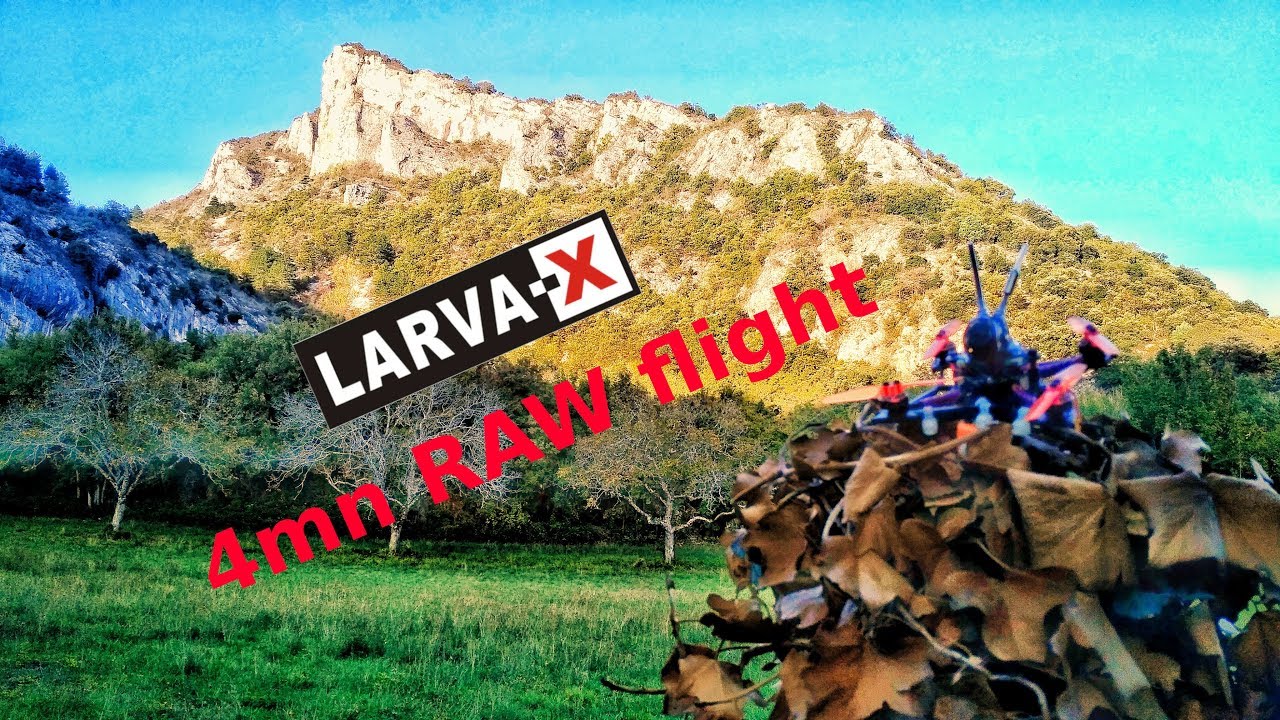 Larva X long range RAW flight fpv