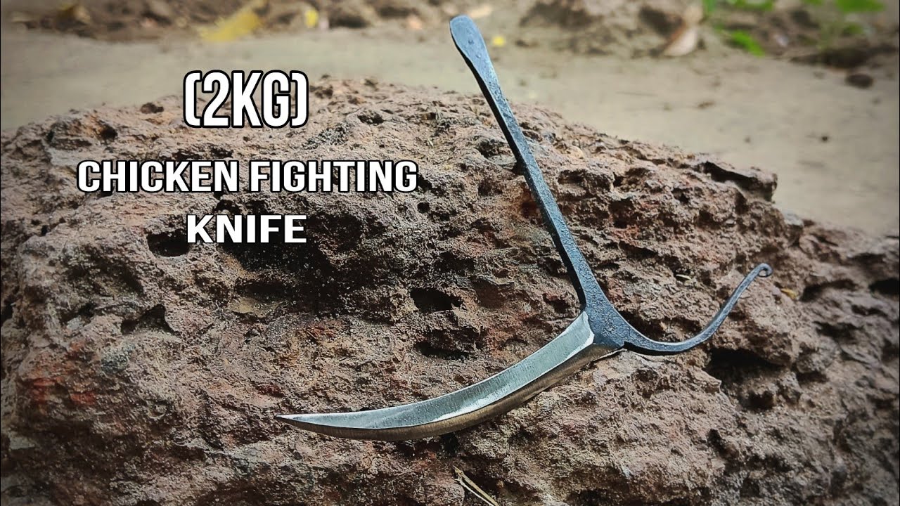 Murga Se Ladai Karne Wala Chaku Kaise Banati Hai || chicken fighting knife (2Kg)
