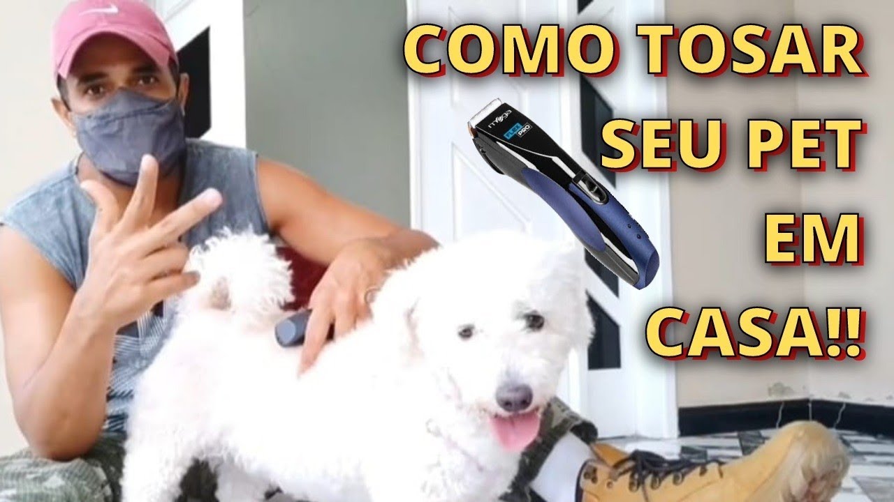 COMO TOSAR CACHORRO EM CASA.  VEJAM COMO TOSAR E APARAR OS PELOS DO SEU CACHORRO EM CASA 🐕🐩