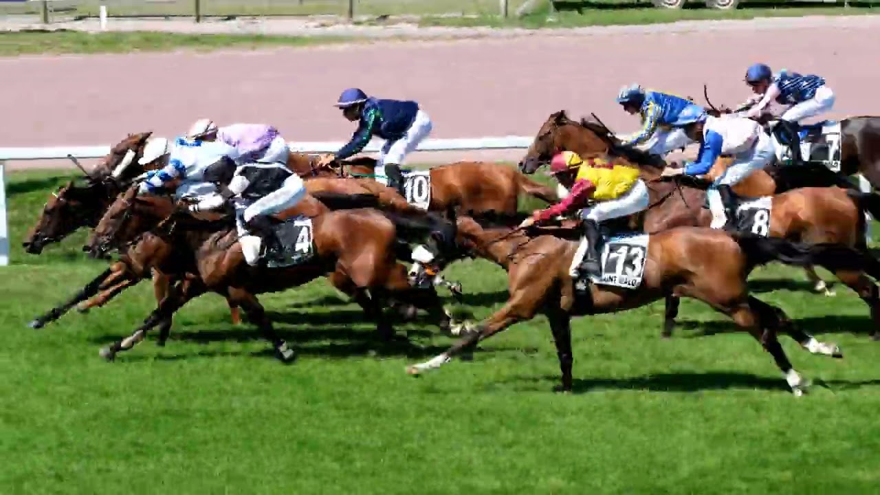 Courses chevaux Saint Malo du 18 juillet 2023