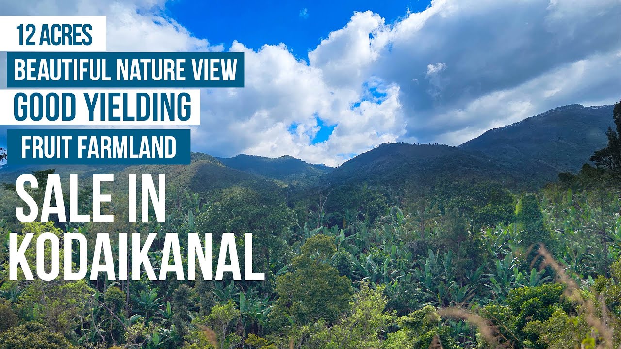 Beautiful nature view with good yielding fruit farmland sale in Kodaikanal | 12 Acres |