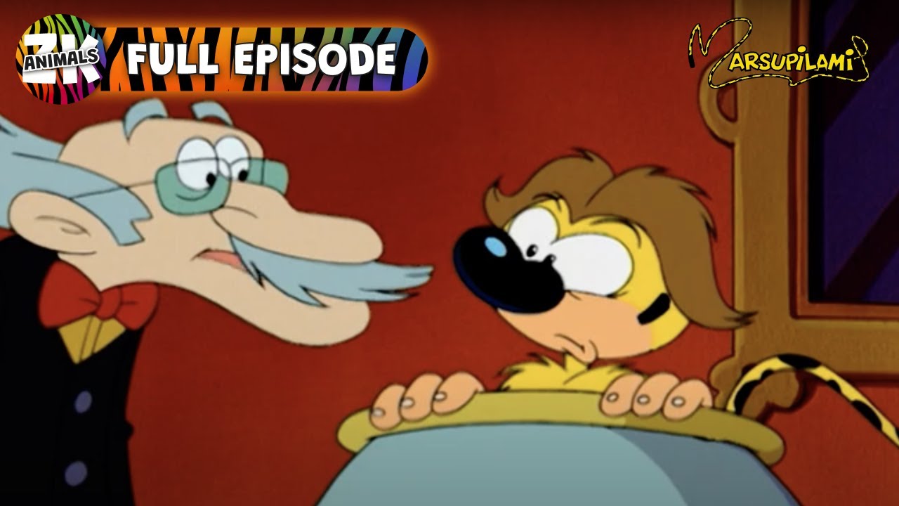 Quest for Jungle Treasures! - Marsupilami - Animals For Kids