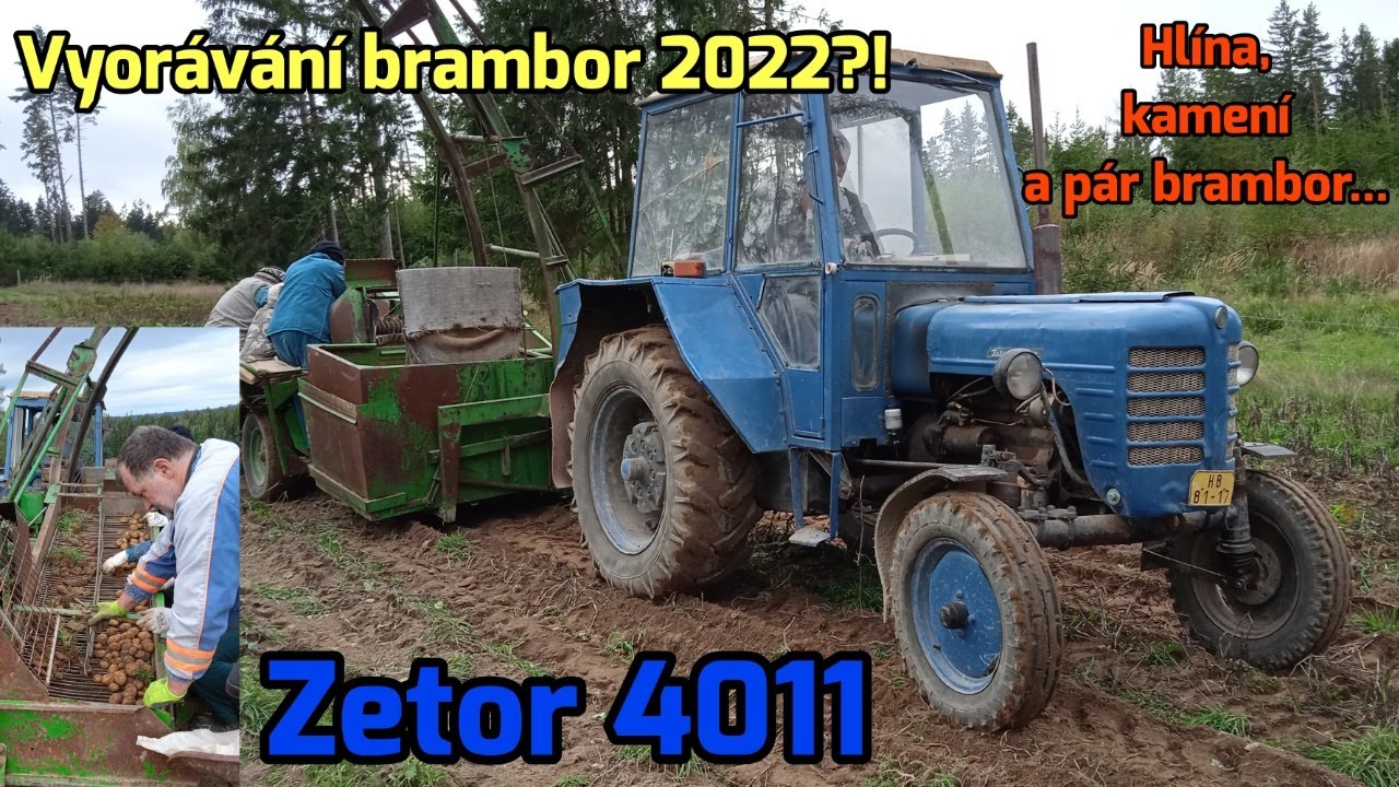 Zetor 4011 - vyorávání brambor | Zetor + bramborový kombajn Niewöhner | Claas Scorpion | 2022