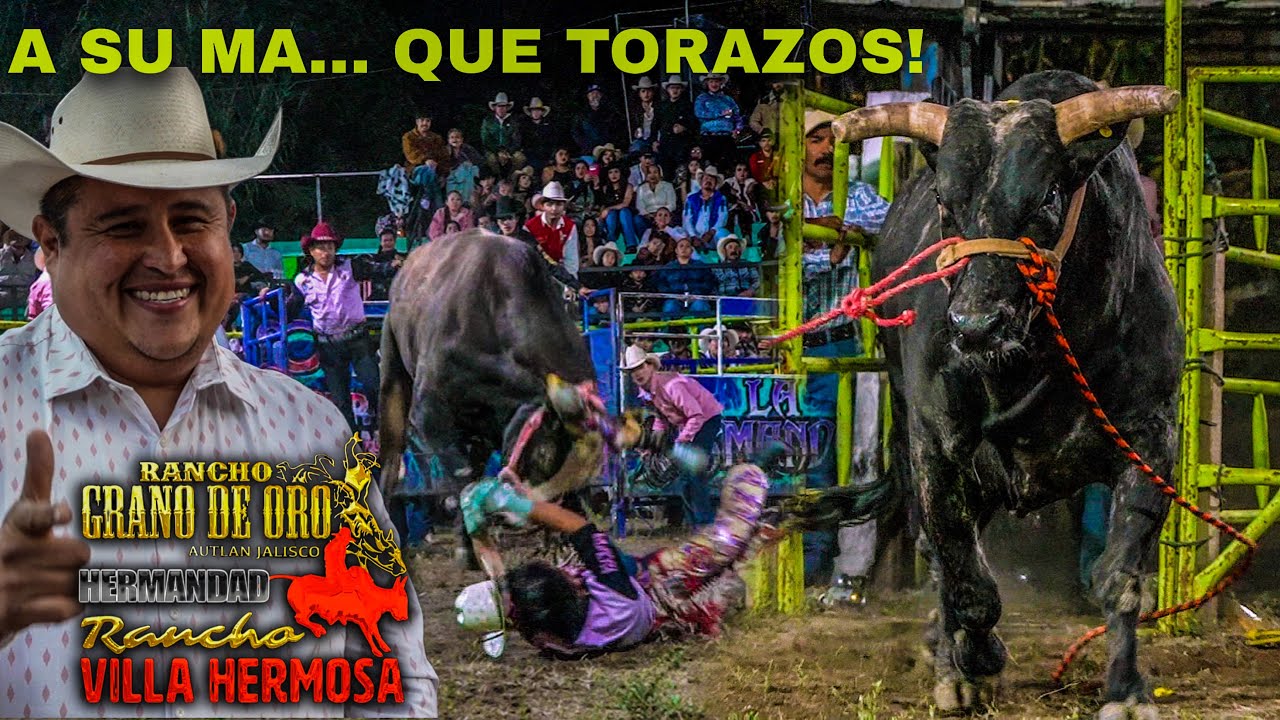 LA GENTE QUERÍA BUENO Y LE LLEVARON PURO TORAZO Y PURO JINETAZO| LA HERMANDAD JALISCIENSE EN NAVAJAS