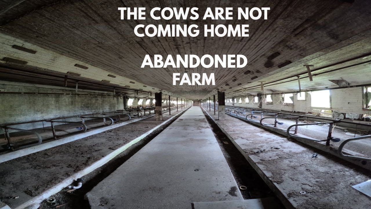 Abandoned Dairy Cattle Farm Buildings Explore New England CT