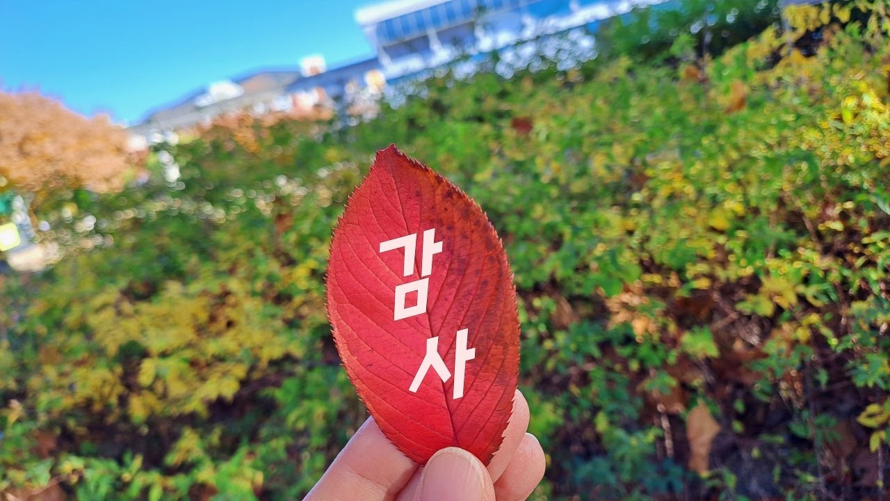 추수감사절(감사) 🥳 오카리나(카라찬양단)