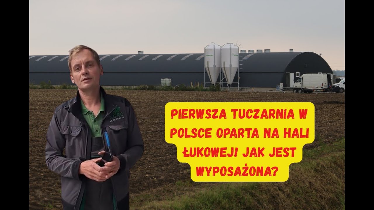 Pierwsza w Polsce tuczarnia na 440 świń w hali łukowej! Ile kosztowała?