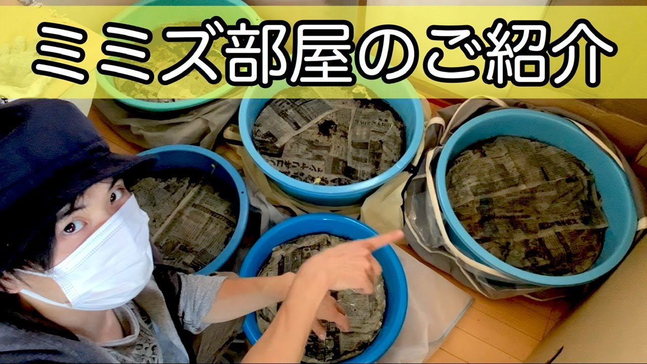 ミミズコンポスト専用ルームで大量のミミズを飼っています