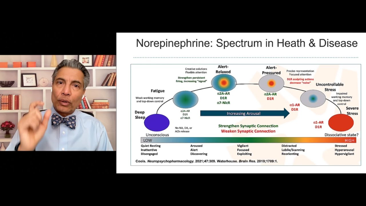 Norepinephrine In Health and Disease