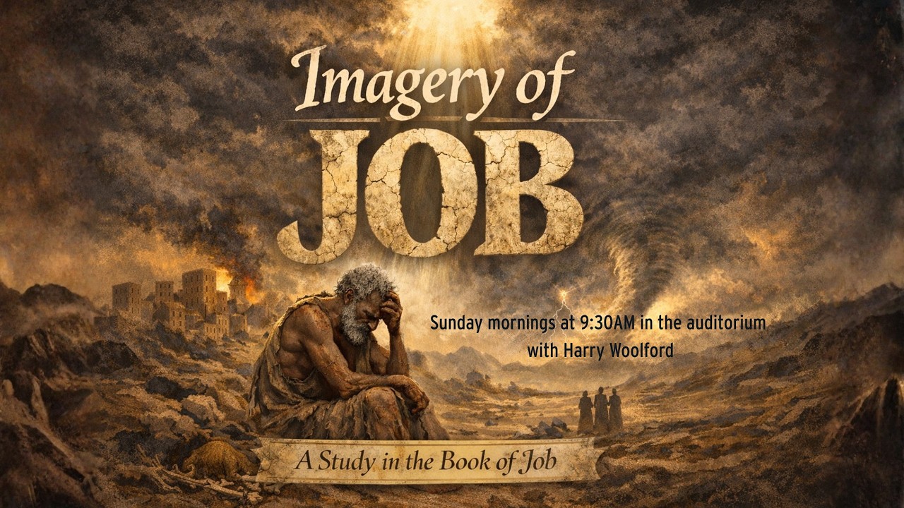 Job - 3rd March 2026