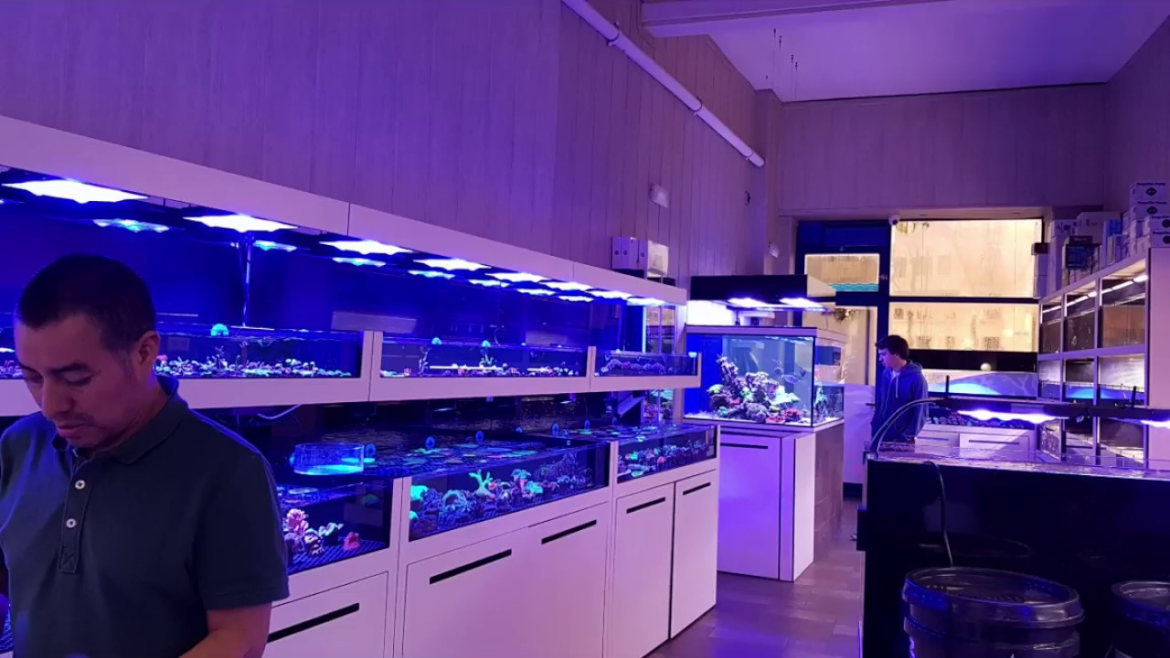 Visista al Acuario Vida Marina