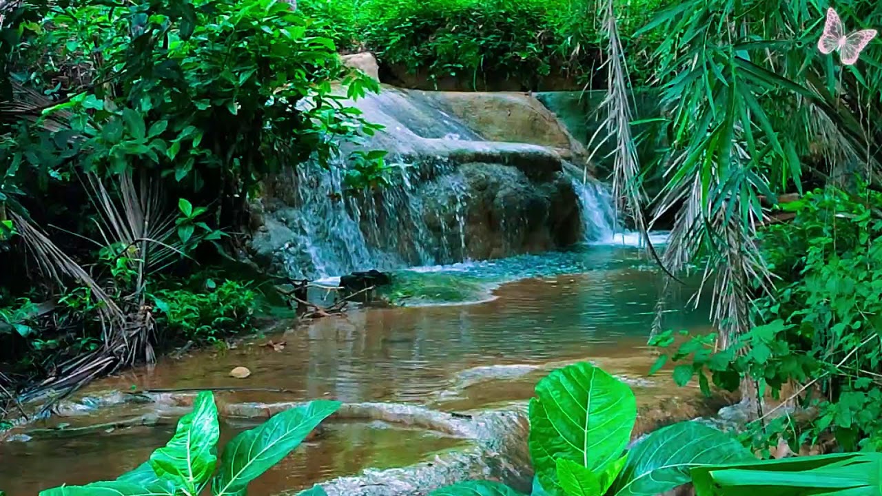 Relaxing Music For Stress Relief, Anxiety and Depressive States🌲 Heal Mind, Body and Soul Calm 51
