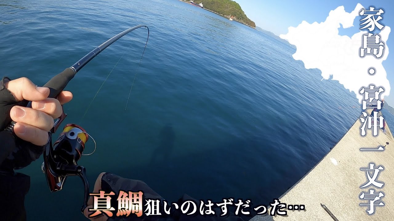 【名人参戦】姫路の沖堤防でフカセしたら、磯竿ブチ曲げられた…（家島・宮沖一文字）